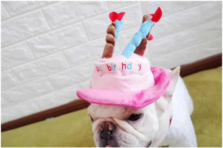 Birthday Party Hat