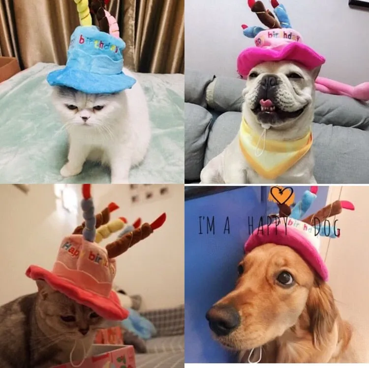 Birthday Party Hat