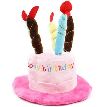 Birthday Party Hat