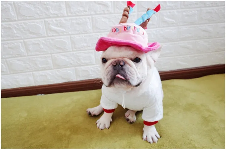 Birthday Party Hat