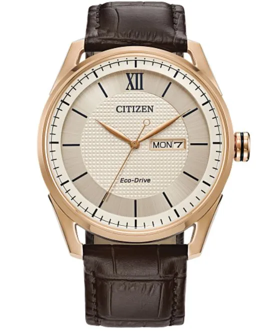 Classic Men's Citizen Watch