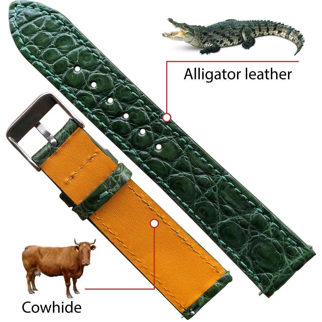 Green Flat Alligator Leather Watch Band Men | No-Padding | DH-28