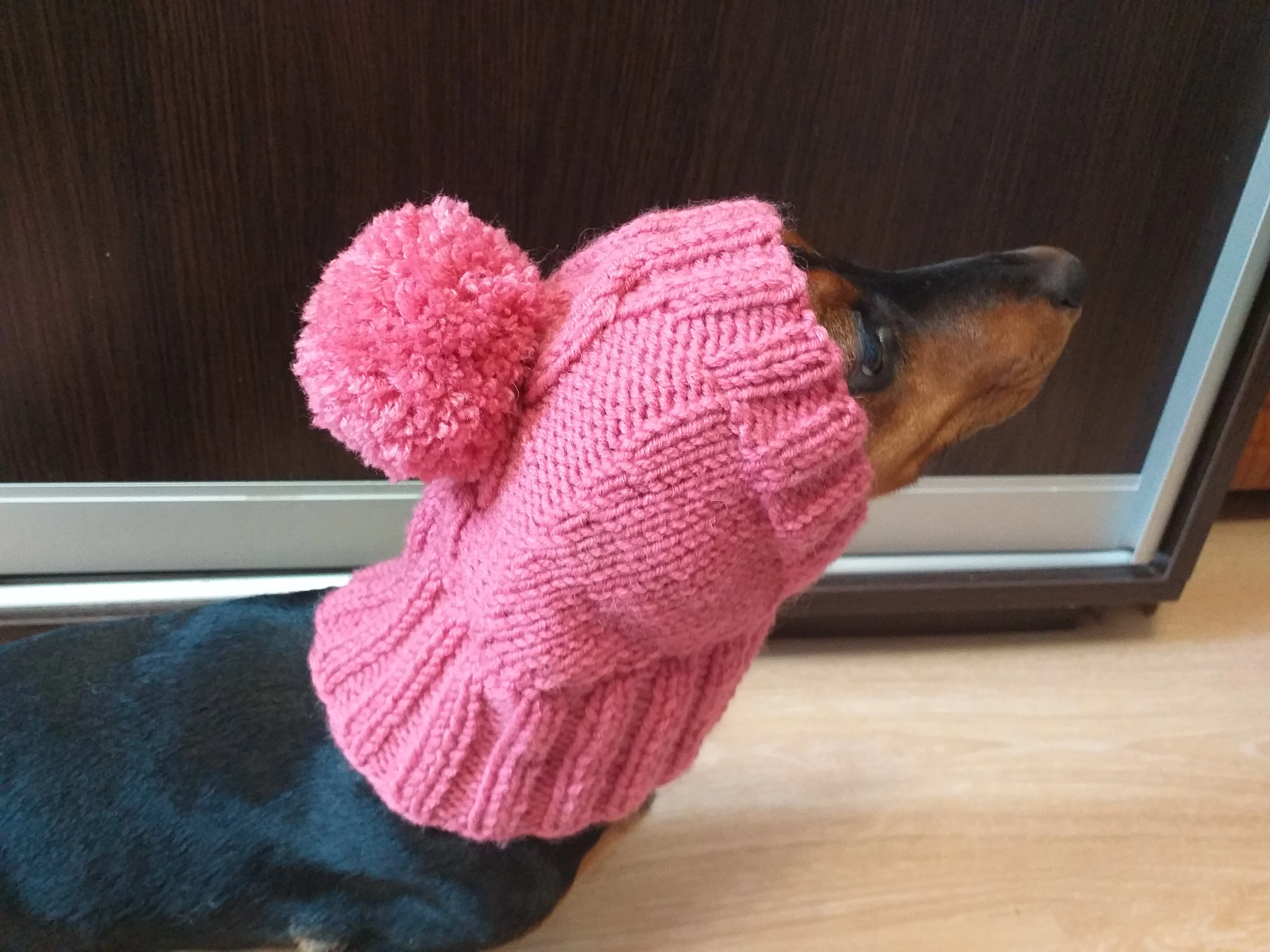 Pink hat with pom pom for dog, hat with pom for dachshund, clothes for mini dachshund hat with pom pom