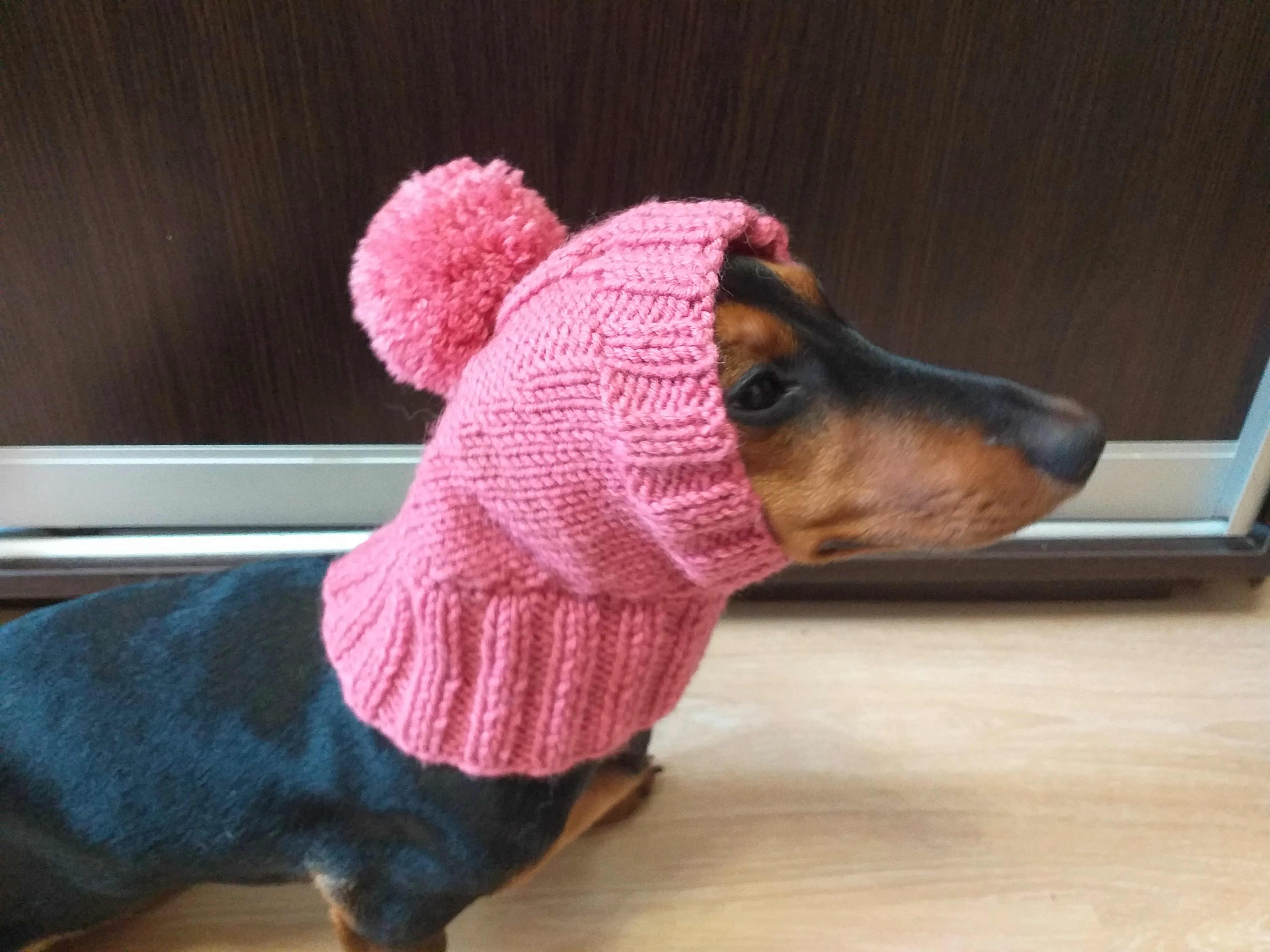 Pink hat with pom pom for dog, hat with pom for dachshund, clothes for mini dachshund hat with pom pom