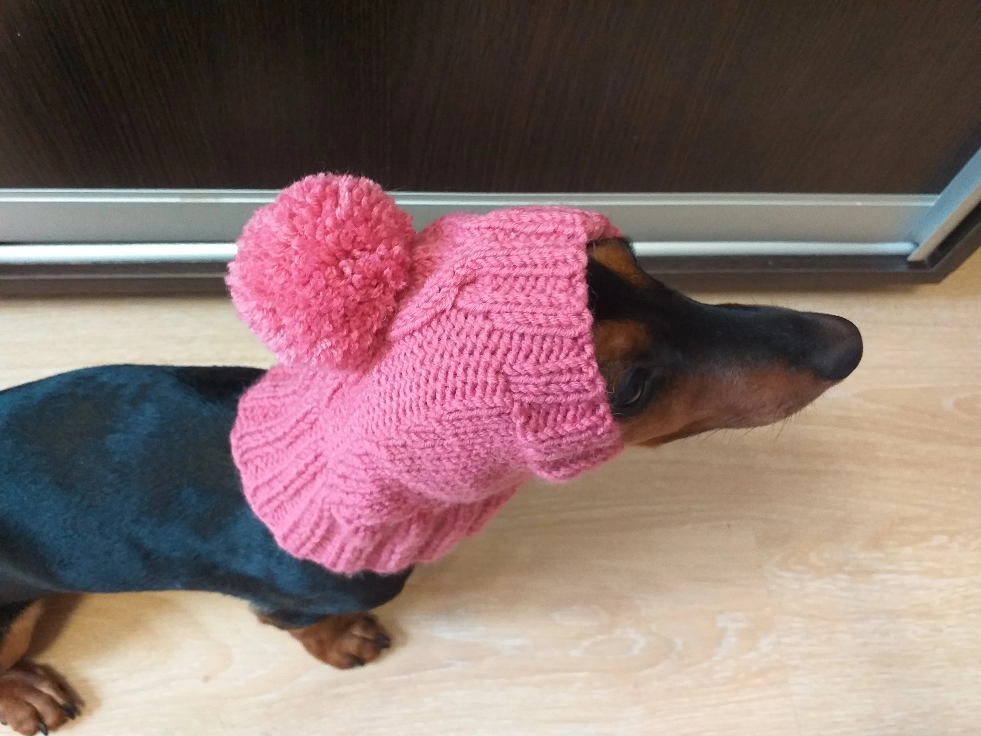 Pink hat with pom pom for dog, hat with pom for dachshund, clothes for mini dachshund hat with pom pom