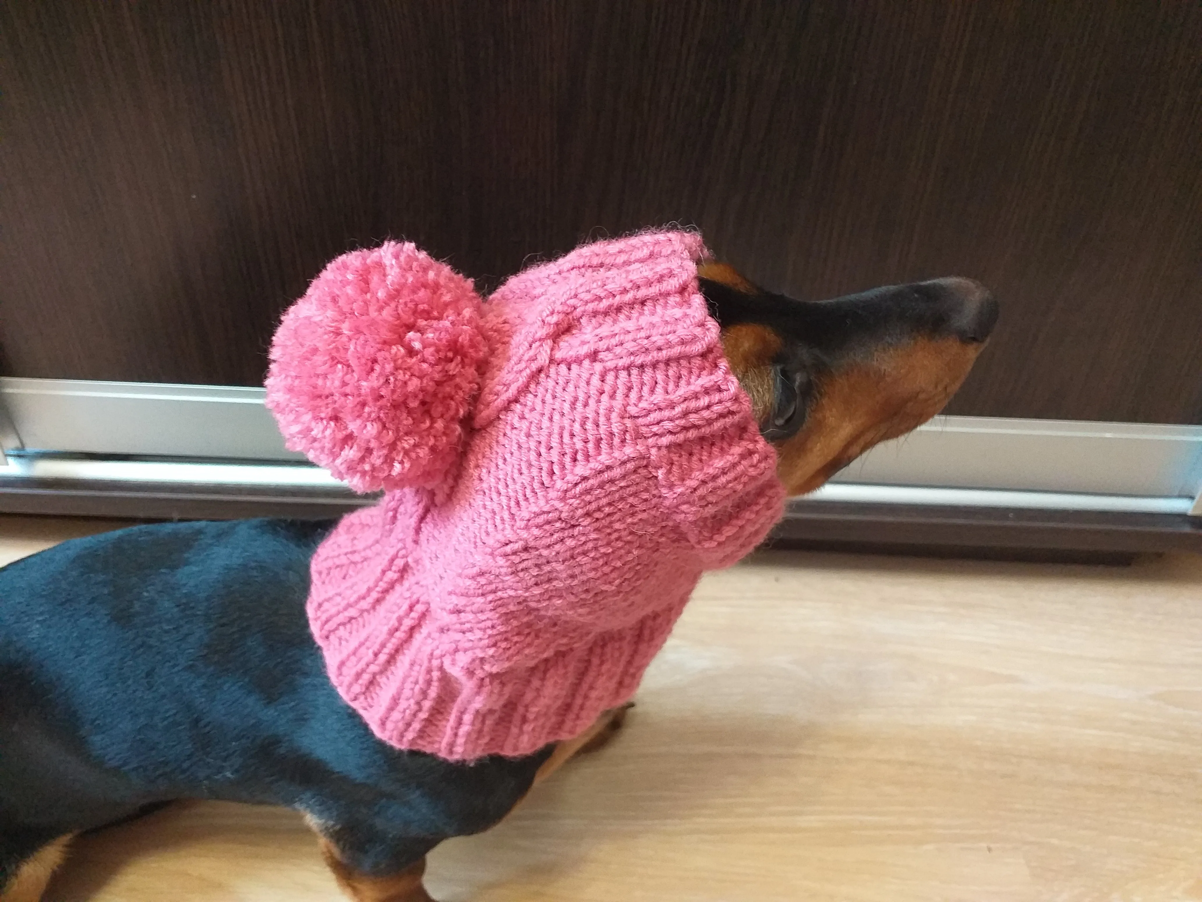 Pink hat with pom pom for dog, hat with pom for dachshund, clothes for mini dachshund hat with pom pom