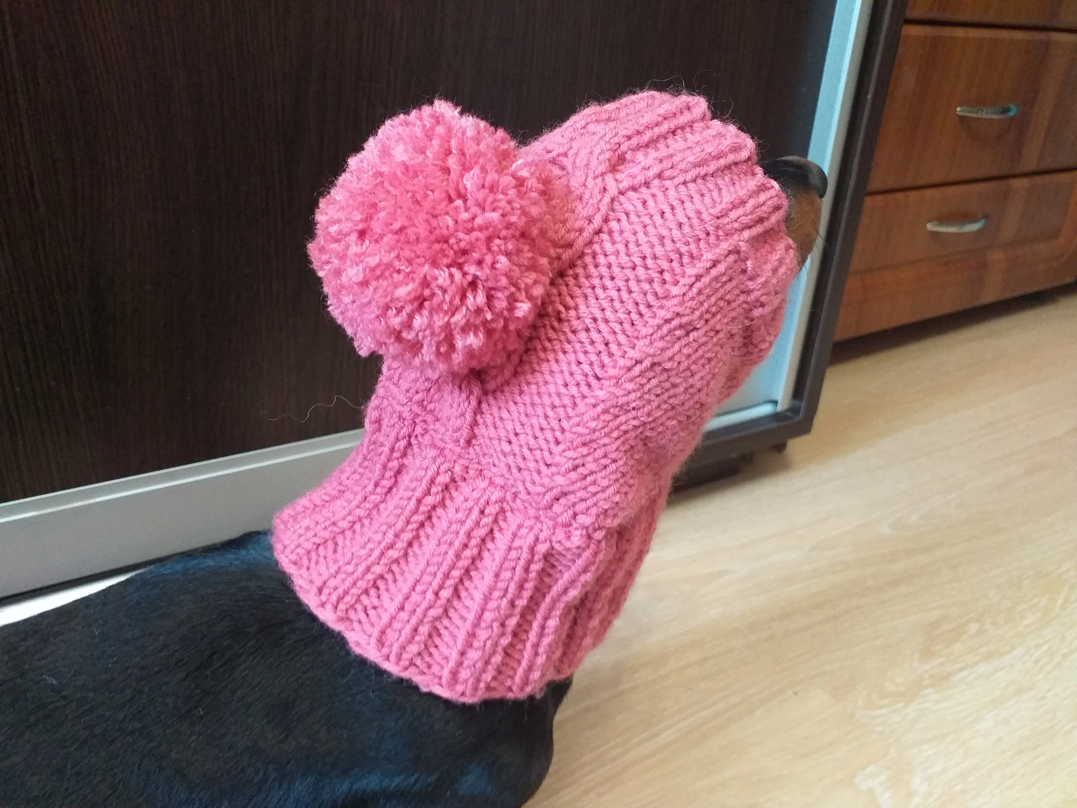 Pink hat with pom pom for dog, hat with pom for dachshund, clothes for mini dachshund hat with pom pom