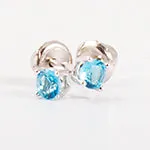 Sterling Silver December Birthstone Earrings