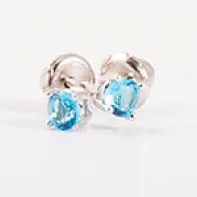 Sterling Silver December Birthstone Earrings